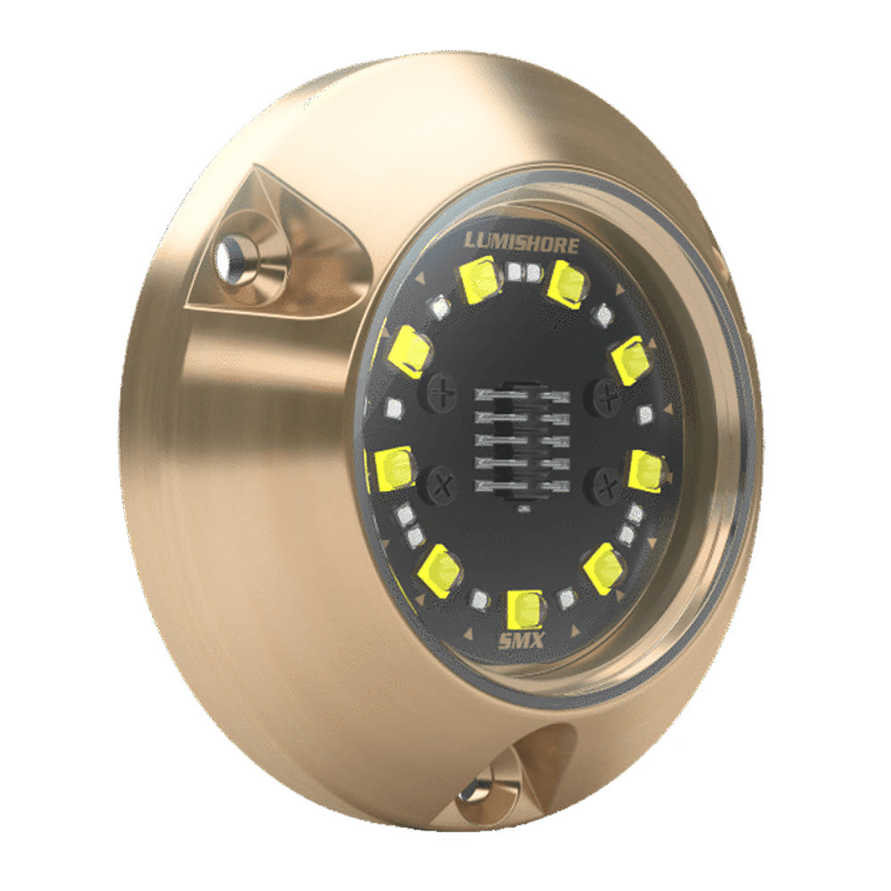 Lumishore ECLIPSE SMX24 Single Light Surface Mount Underwater Light Blue 0100450100